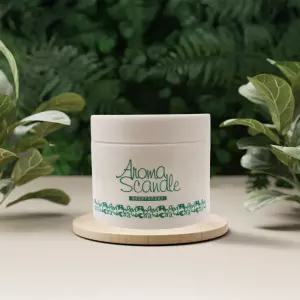 아로마스켄들 고체 탈취제 250g x3개 딥포레스트향/실내 차량 화장실 홀애비 초강력 냄세제거