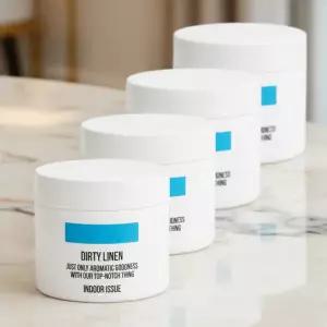 더티린넨 인도어이슈 실내 담배 냄새 악취제거 탈취제 300g 4개