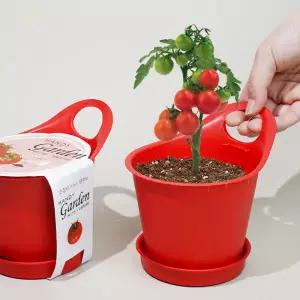 아트박스/꿈쟁이 꿈쟁이 손잡이가 있어 편리한 핸디가든 방울토마토