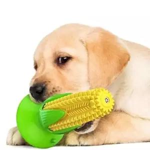 [반려] 노즈워크 터그놀이 강아지 장난감 칫솔 세트