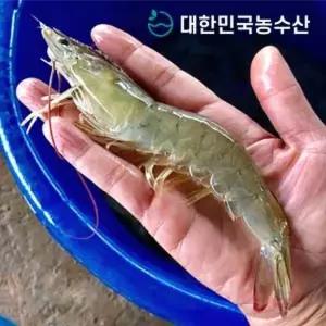 [대한민국농수산]국산 흰다리새우 특왕새우 급냉새우 1kg (27미 내외)