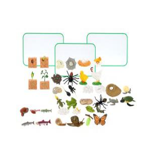 v) [캐스B]네이처 성장과정피규어9종(+활동지)+자석보드판3종세트(1