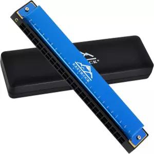 케이스 마우스 오르간 하프 초보자를 위한 디아토닉 하모니카가 포함된 이스트록 블루스 하모니카 24홀 C