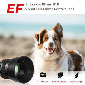 EF 85MM MANUAL T6I EF III FOR PORTRAIT T3 T5 50D 1D T3I 90D II 6D 70D SL3 F1 T100 T8I 80D CANON EF T2I XS LENSES T7I T7 DSLR SL2 EOS II MARK FOCUS MF LENS CAMERAS IV MOUNT 5D 7D REBEL XSI