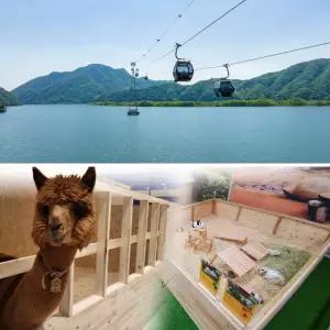 [강원] 삼악산케이블카X플레이정글 춘천엔타점 PKG/강원가볼만한곳/데이트/여행/체험/동물원/강원/춘천/홍천/테마파크