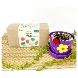 미술교구- 식집사의 하루 가드닝 씨앗심기 1인용 실습키트