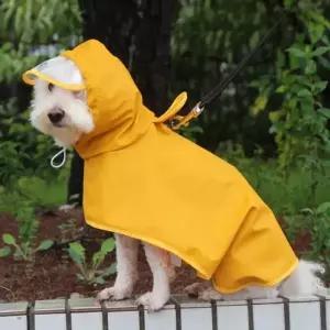 비 우비 오는 비옷 바람막이 산책 방수 날 귀여운 후드 반려견 가기 강아지 레인코트