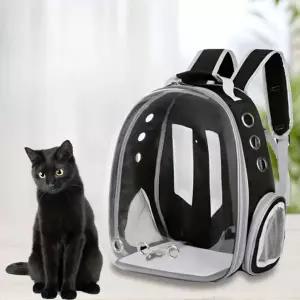 반려동물 투명 백팩 고양이 강아지 외출 이동가방 배낭 투명가방