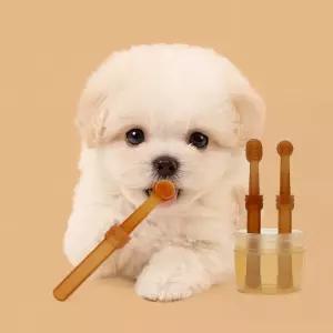 디어펫 반려동물 칫솔+혀클리너 세트 휴대용케이스