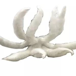 꼬리 코스튬 판타지 수중 할로윈 여우 머리띠 졸업사진 해변 컨셉