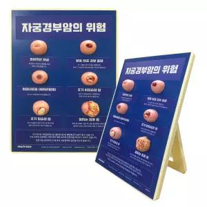 자궁경부모형 학교 보건 성교육 자궁경부암 SY 79733