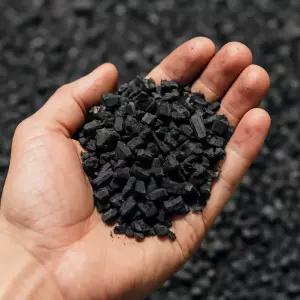 바이오차 친환경 토양 개량제 10리터 숯가루 숯 참숯 목초액 진천참숯 바베큐숯