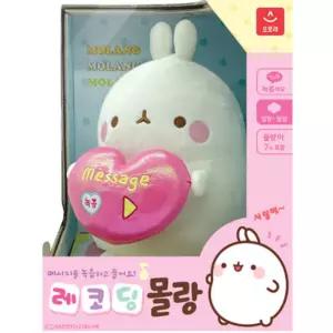 오로라 녹음 메시지 인형 레코딩 몰랑 기념일 선물 BNA