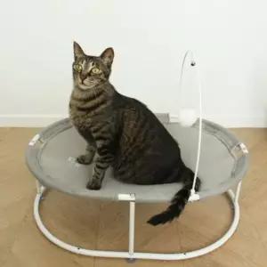 고양이방석 쇼파 꿀잠 해먹 방석 대형 침대 뚜또가또 고양이