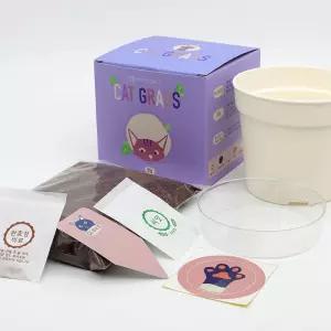 캣닢 캣그라스 키우기 재배키트 화분만들기 DIY 고양이풀 교구 인내심발달 봄