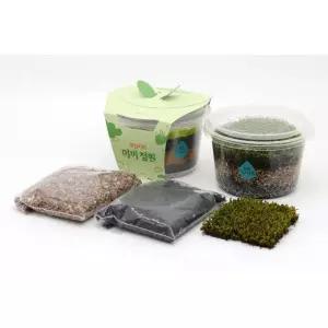 이끼화분만들기 DIY세트 테라리움 이끼재배 식물심기 체험행사 식집사 기관 관찰