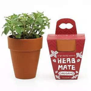 오레가노 허브 키우기세트 화분만들기 DIY 토기화분 노인정 어르신 식집사 초등