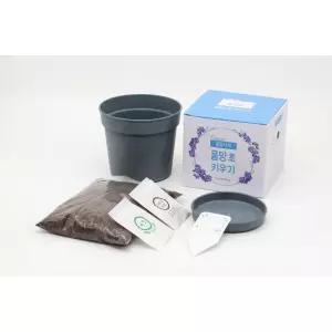 물망초화분 키우기 만들기 새싹 식물기르기 DIY세트 기관 돌봄 정서안정 봄 교구