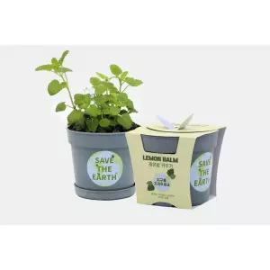 레몬밥 허브키우기 화분만들기 DIY 세트 식물 미니화분 셀프 간편 어르신 행사