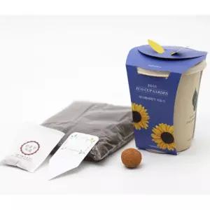 4인용 해바라기 꽃화분 만들기 식물키우기 DIY 복지관 재배 식집사 실버교구