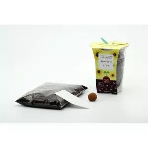 4인용 해바라기 꽃키우기 DIY 세트 식물 미니화분 봄 키트 인내심발달 만들기