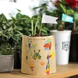 4인용 해바라기 그리기 꾸미기 화분만들기 식물키우기 자유학년재 늘봄교실 키트