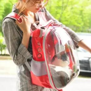 강아지 고양이 우주선 반려동물 가방 백팩 투명 이동장