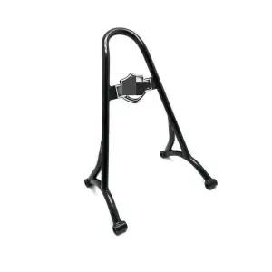 아이언883 등받이 포티에잇 짐대 튜닝 시시바 커스텀 블랙