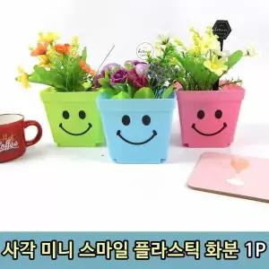 사각 스마일 소형 미니 꽃 플라스틱 화분 1P 다육이