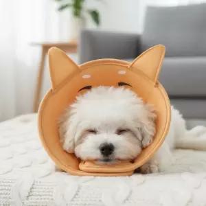 드림베이스 강아지 넥카라 고양이 겸용 초경량 3D 통기 메쉬 반려동물 상처 보호대