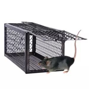 쥐퇴치 쥐트랩 쥐？C 쥐덫 마우스트랩 통망