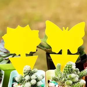 트랩 초파리 진드기 날파리 해충퇴지 벌레 끈끈이