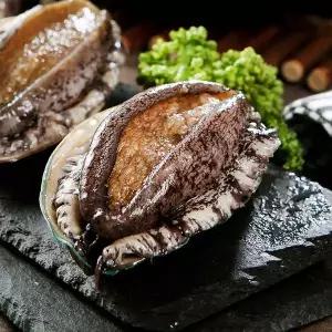 [NS홈쇼핑]완도 활전복 7-8미 1kg 세척솔[35763182]