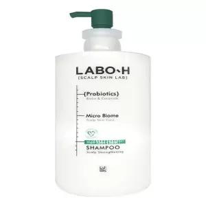 라보에이치 탈 모완 화 두피강화 샴푸 750ml, 1개(SH)