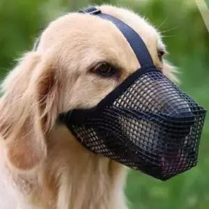 [반려] 메쉬 강아지 입마개 중형견입마개 반려견마스크
