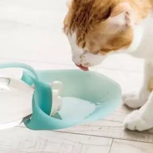 [반려] 휴대용 반려동물 물통 강아지 고양이 나뭇잎 디자인