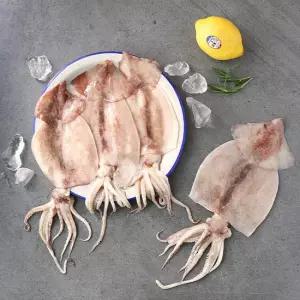 국내산 급냉 손질오징어 1.5kg (500g * 3팩)/ 팩당 3-4미내외