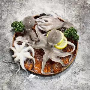 [오늘신선] 태안 신진도 산지직송 생물 알배기 알쭈꾸미 1kg