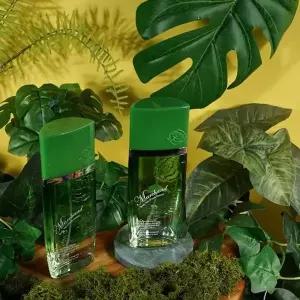 살냄새 274RXU73 시그니처향 기분좋은향기 샤워코롱 150ml 2개