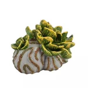 아우리쿨라리아 해삼류 애벌레 피규어 유아교구 입체 지구생물