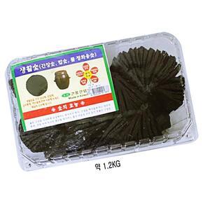 [2개구성] IS 생활숯 대 냄새제거 공기정화 탈취숯 제습숯 참숯 IPW9153B4