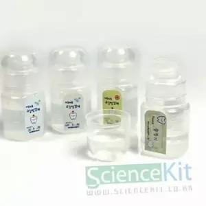 만들기 자일리톨 구강 과학실험 어린이용 용품 키트 재료 어린이 탐구 교육용 청결제 초등 관리 스스로