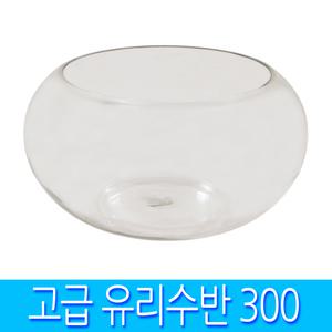 고급유리수반 300 소형 원형 유리 수경 식물 재배