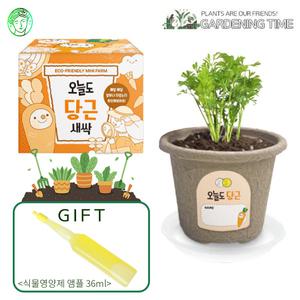 [식물영양제선물]오늘도 새싹 - 지피포트 당근 / 채소 모종키우기 원예체험 식물키우기 화분기르기 꽃집사