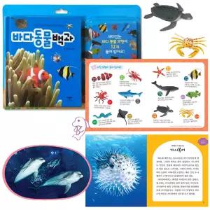바다 동물 백과 모형과 함께 배우는 바다생물 피규어 미니어처 유아 학습책 관찰 역할놀이