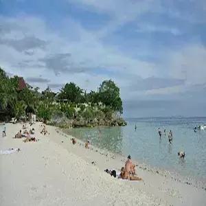 보홀 4일 #헤난타왈라 #돌핀왓칭 #거북이스노클링 #호핑투어 #전신마사지 #알로나비치 #리조트디너 #특식3회