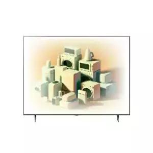 LG전자 올레드 AI OLED55B5KNA 스탠드형 (G)