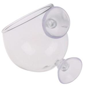 투명 크리스탈 유리 식물 화분 어항 액세서리 컵 홀더 수족관 풍경 1 개