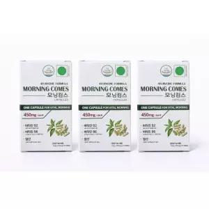 모닝컴스 히말라야 10정 3개 모닝컴즈 모닝캄즈 모닝캄스 효능 성분 먹는법 인도 숙취해소