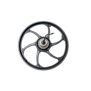 DJ-007 전기 자전거 키트용 퀵 릴리스 케이블이 포함 20인치 48V 250W/350W 6스포크 방수 브러시리스 리어